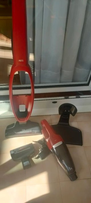 Aspirador Escoba AEG QX6 Animal