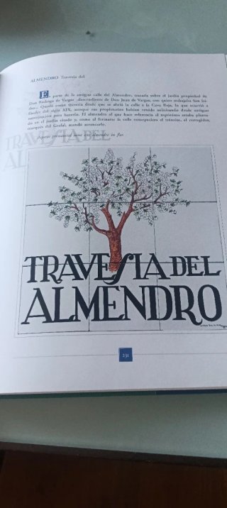 Bonito libro tomo de calles de Madrid