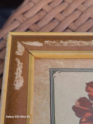 Cuadro Vintage Lámina Botánica Flores