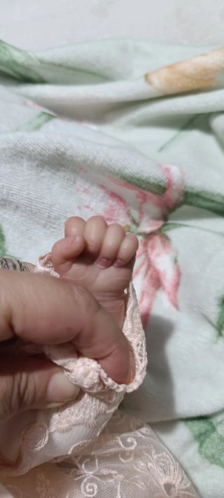 Muñeca Reborn Quinbee