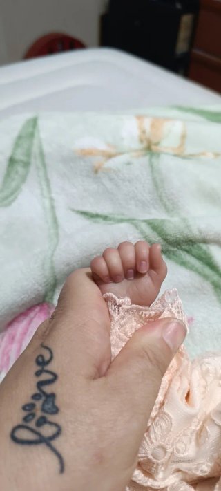 Muñeca Reborn Quinbee