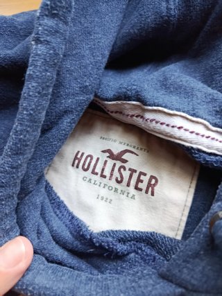 Sudadera Hollister Azul Manga Corta