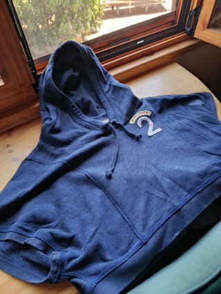 Sudadera Hollister Azul Manga Corta