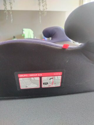 Alzador coche Bbest