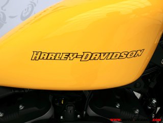 HARLEY-DAVIDSON XL 883 N IRON ¿A2?