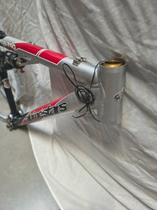 Cuadro Alpinestars RSA 740