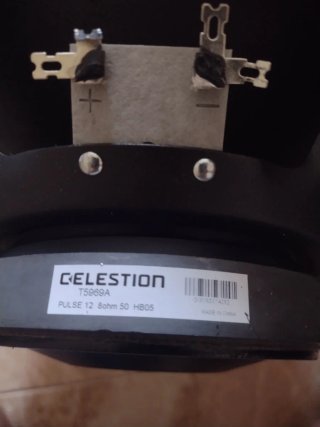 Celestion Pulse 12 Altavoz Bajo 8 Ohmios