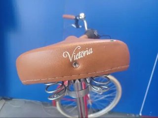 Bicicleta CAPRI vintage 26"
