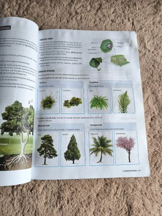 Natura Zientziak Dbh 1