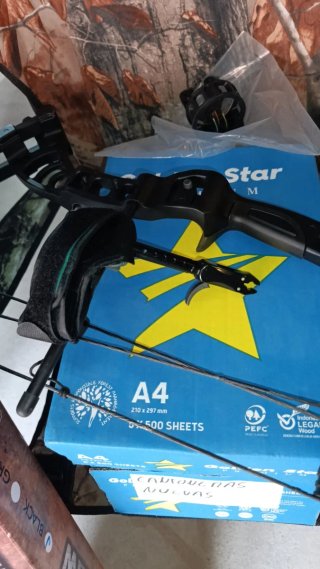 Arco Compuesto 55 LBS