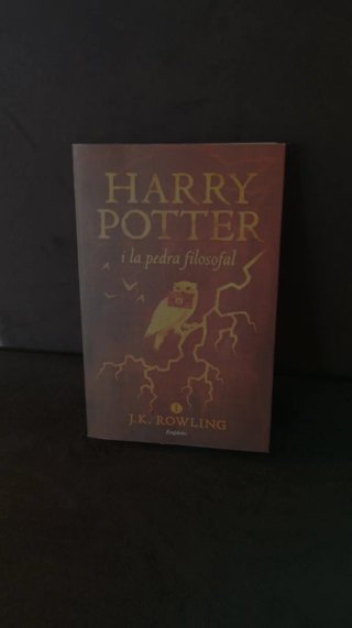 Harry Potter i la pedra filosofal