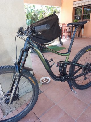 Bicicleta Giant Reign 29 Talla M