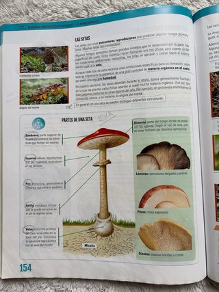 Biología y Geología I, ESO, Secundaria, De otra...