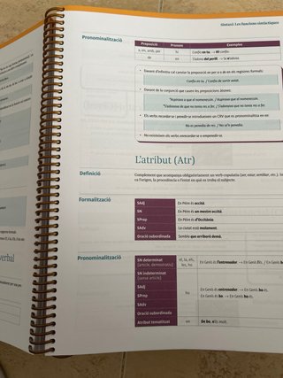 Llengua Catalana i Literatura 1