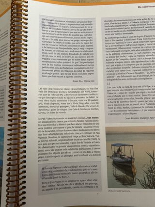 Llengua Catalana i Literatura 1