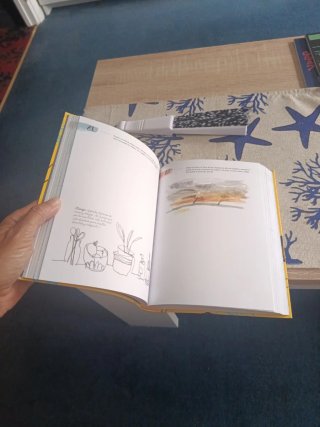 365 días de creatividad