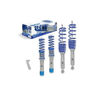 Suspensión Roscada Blue Line para BMW Serie 5 E39