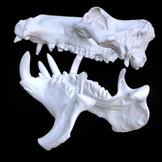 Impresión 3D Diseño Gráfico Arquitectura