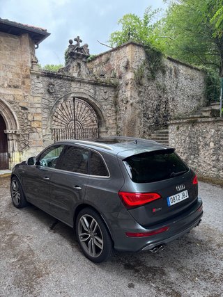 Audi SQ5 2015