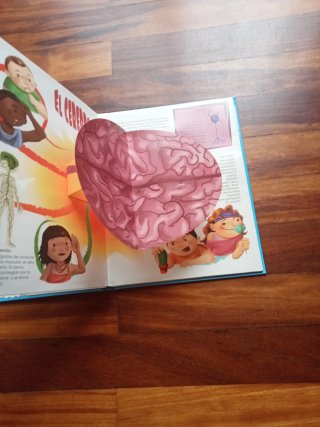 Mi libro del cuerpo humano