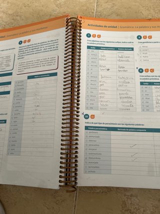 Lengua castellana y literatura, 1 Bachillerato,...