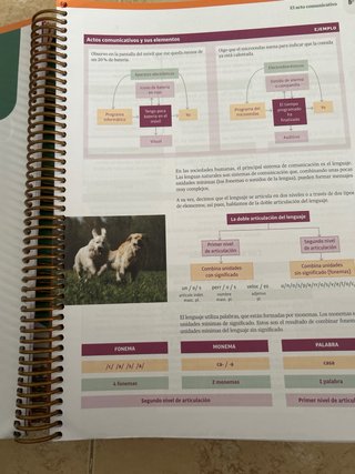 Lengua castellana y literatura, 1 Bachillerato,...