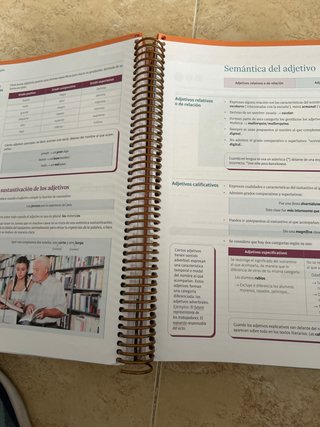 Lengua castellana y literatura, 1 Bachillerato,...