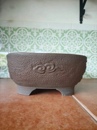 Espectacular maceta japonesa con diseño de dragón.