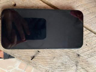 iPhone 14 Apple