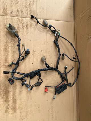 Cableado Honda PCX 125 2018-2020