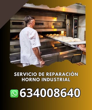 Servicio de reparación horno industrial r74384072