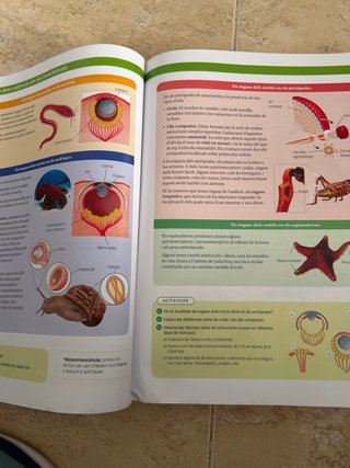 BIOLOGIA, GEOLOGIA I CIENCIES AMBIENTALS 1 BTX ...
