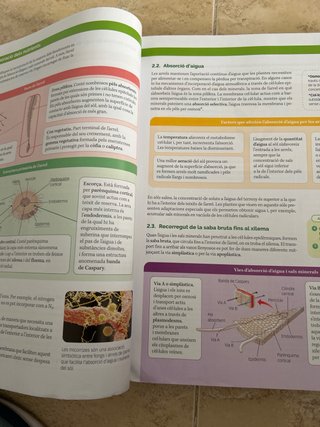 BIOLOGIA, GEOLOGIA I CIENCIES AMBIENTALS 1 BTX ...
