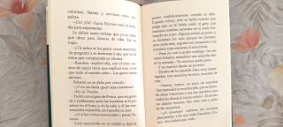 Un pelotón de mentiras