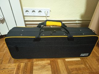 Saxofón Soprano Dorado con Estuche