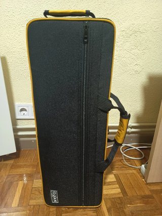 Saxofón Soprano Dorado con Estuche