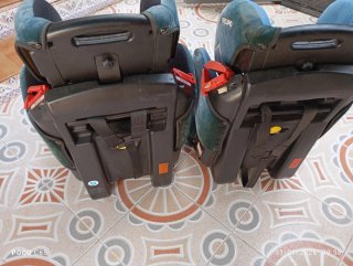 Sillas de coche RECARO Young Sport