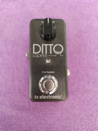 TC Electronic Ditto Looper Pedal Guitarra