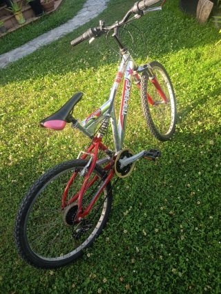 Bicicleta TOPBIKE 24 para niños