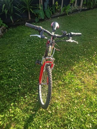 Bicicleta TOPBIKE 24 para niños