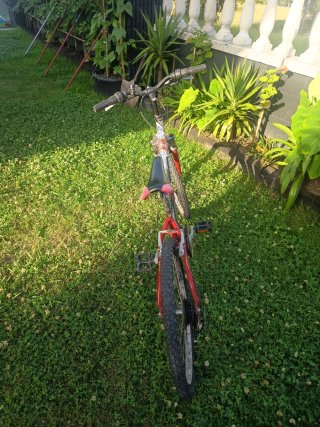 Bicicleta TOPBIKE 24 para niños