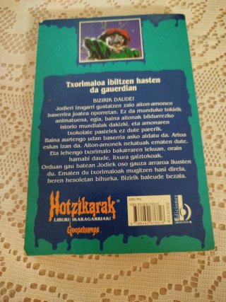 Libro juvenil hotzikarak