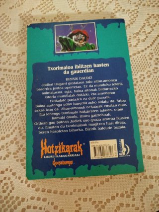 Libro juvenil hotzikarak