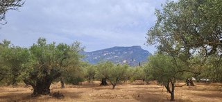 Terreno en venta en Roquetes