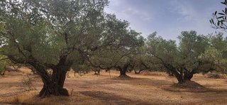 Terreno en venta en Roquetes