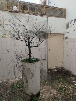 Chalet en venta en Zafra