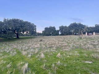 Masía en venta en San Vicente de Alcántara