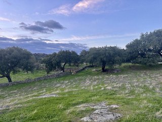 Masía en venta en San Vicente de Alcántara