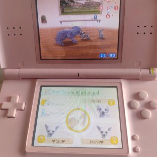 Offerta!!! Lotto di 6 giochi Nintendo DS + Regali.