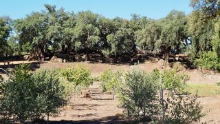 Solar en venta en San Vicente de Alcántara